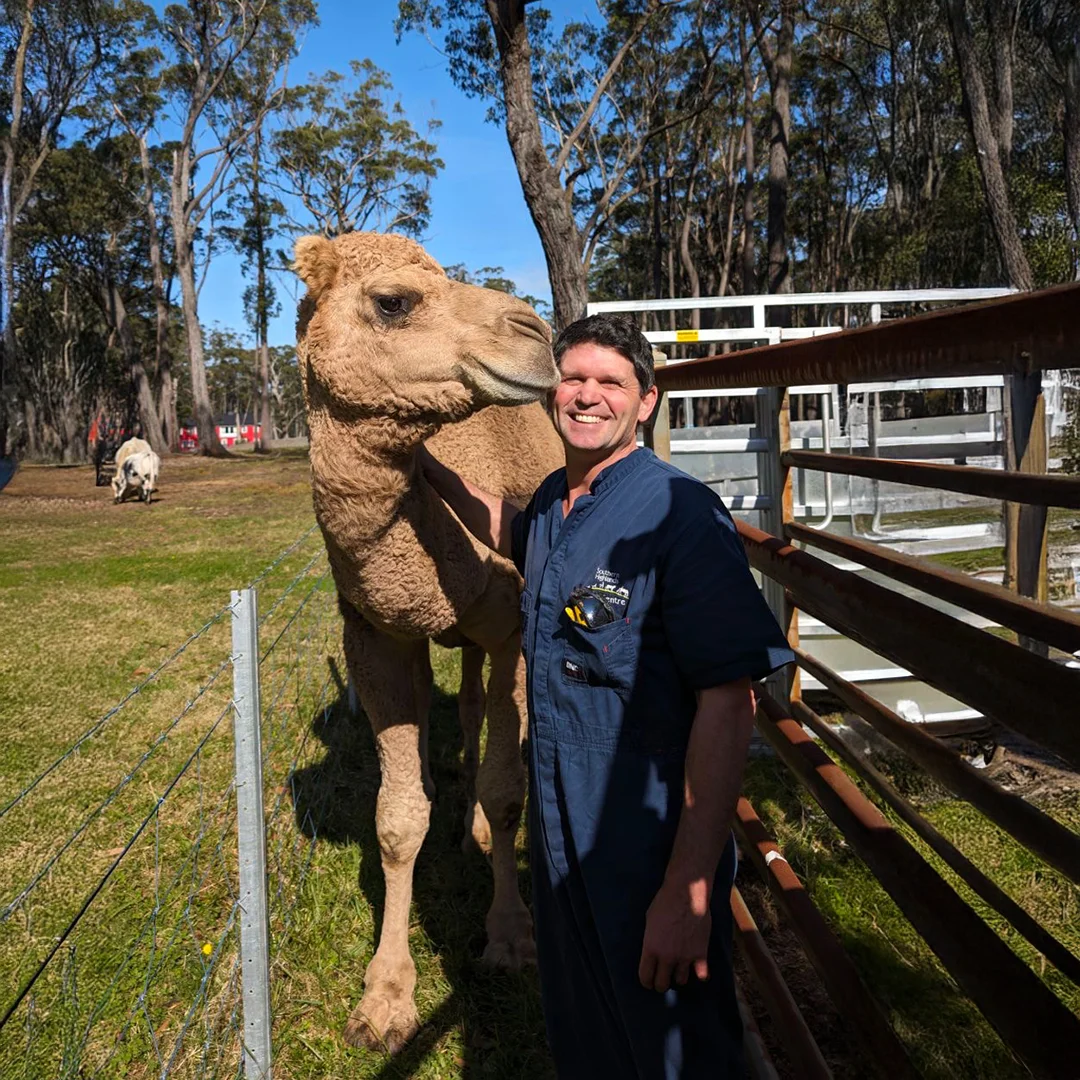 Veterinarian standing beside a camel outdoors at Southern Highlands Veterinary Centre.